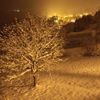 Marcena Notturna Invernale